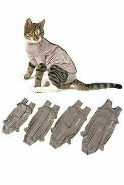 Obleček Body Suit Step N Go Cats 3xs-s Buster 4ks porovnat ceny