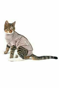 Obleček Body Suit Step N Go Cats 3xs Buster porovnat ceny