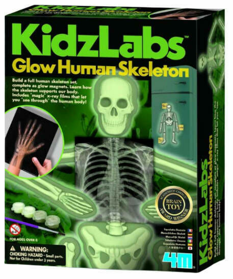 Mac Toys Fosforeskující kostra porovnat ceny
