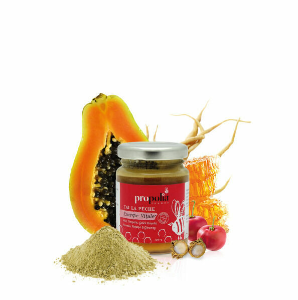 Propolia Vital Energy mix s medem, propolisem, mateří kašičkou, acerolou, papájou a ženšenem 120g porovnat ceny