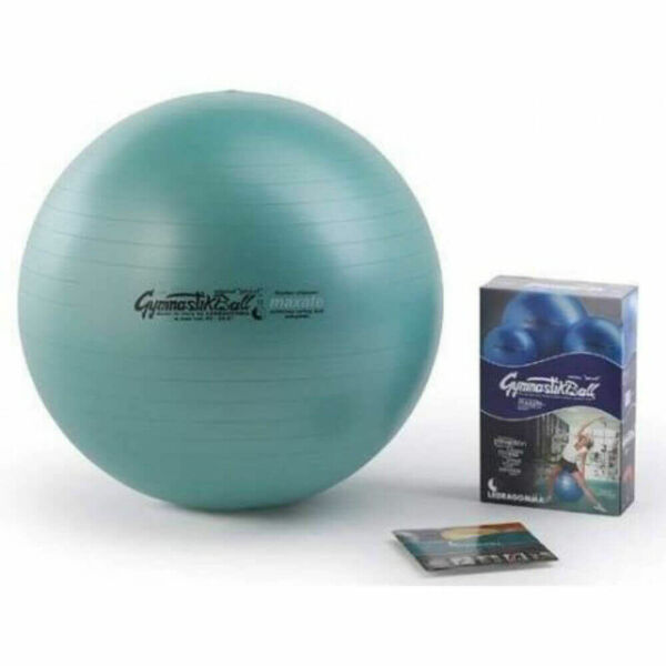LEDRAGOMMA Gymnastický míč Ø 65 cm porovnat ceny