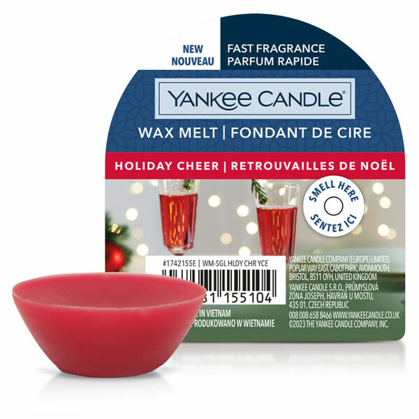 YANKEE CANDLE Vonný vosk Holiday Cheer 22 g porovnat ceny