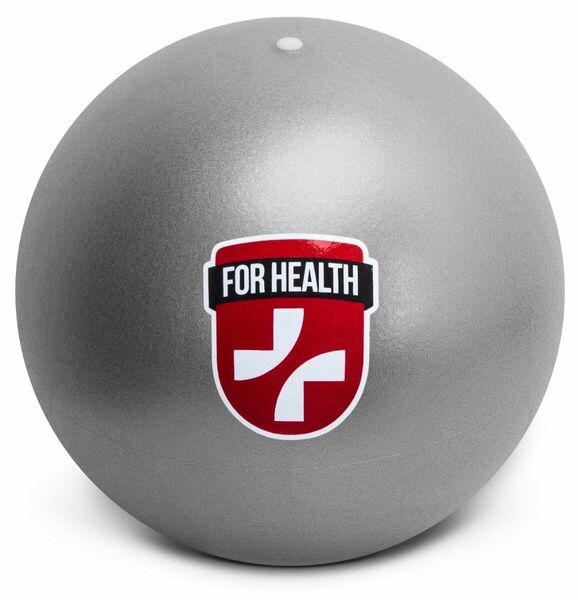 Connect IT CFH-1010-GY 25 cm ergonomický overball porovnat ceny