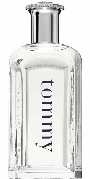 Tommy Hilfiger Tommy EdT 100ml porovnat ceny