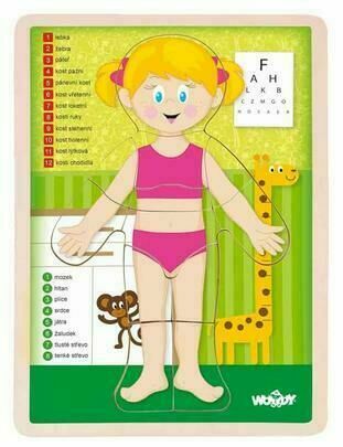 Woody Puzzle "Lidské tělo" Holka CZ porovnat ceny