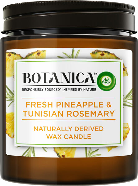 BOTANICA by AIR WICK svíčka Svěží ananas a tuniský rozmarýn 205g porovnat ceny