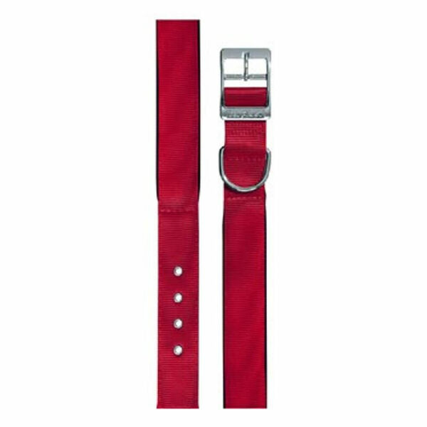 Obojek nylon DAYTONA C 35cmx15mm červený FP 1ks porovnat ceny