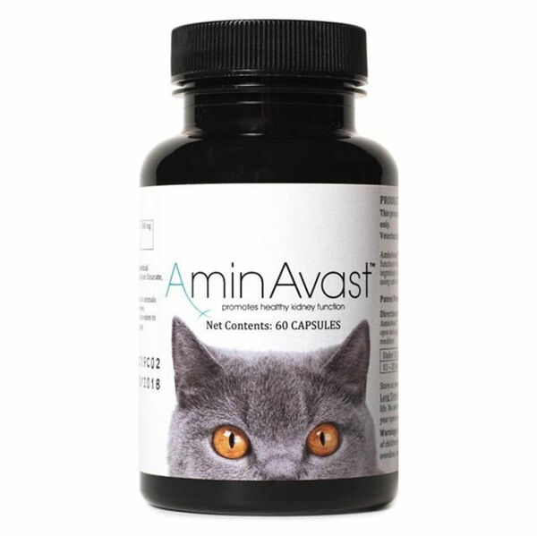 AMINAVAST Cat pro správnou funkci ledvin u koček 60 kapslí porovnat ceny