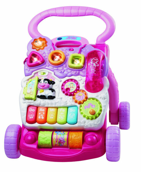 Vtech chodítko Uč se a poznávej růžové CZ porovnat ceny