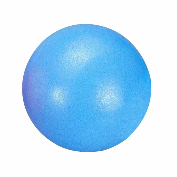 DMA Rehabilitační míč PSB434-A-BL Aerobic 20 Blue 1ks porovnat ceny