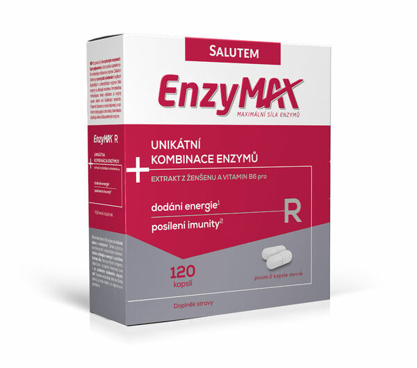 Enzymax R 120 kapslí porovnat ceny
