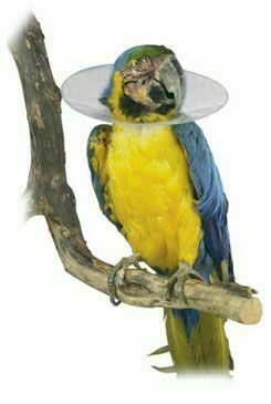 Límec Ochranný Plastový Bird Collar Pro Ptáky 14cm porovnat ceny