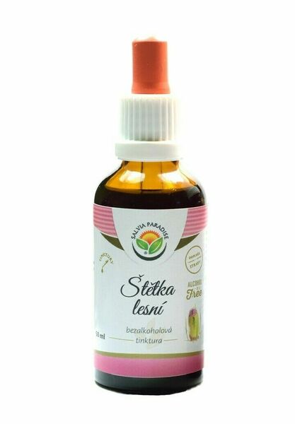 Salvia Paradise Štětka lesní AF tinktura 50ml porovnat ceny
