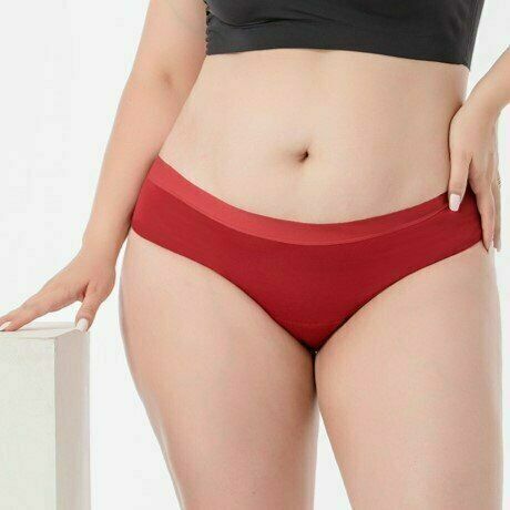 Pinke Welle Menstruační kalhotky Bikiny červené, střední a slabá menstruace, velikost L porovnat ceny