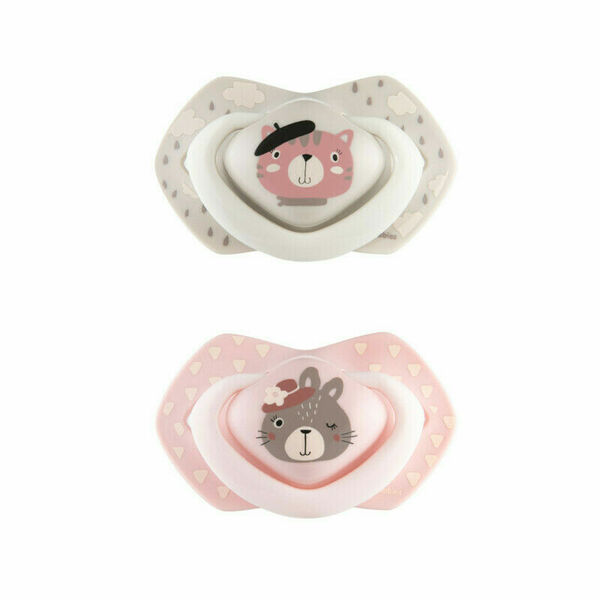 Canpol babies Set symetrických silikonových dudlíků 18m+ Bonjour Paris růžový porovnat ceny