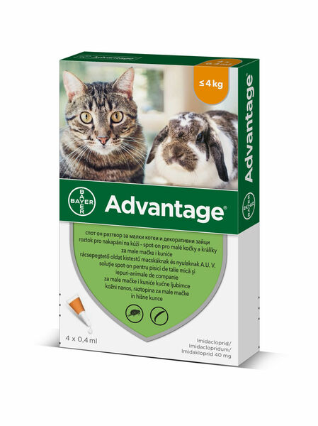 Advantage pro malé kočky a králíky 40 mg spot-on 4x0,4 ml porovnat ceny