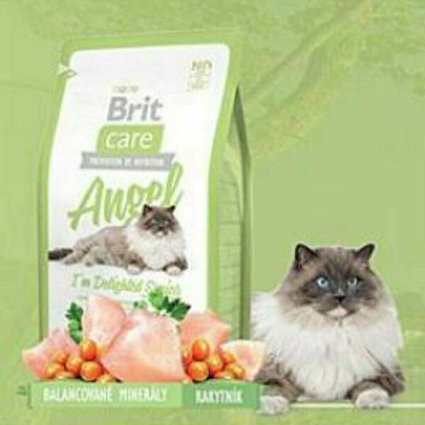 BRIT Care Cat Angel I´m Delighted Senior 400 g porovnat ceny