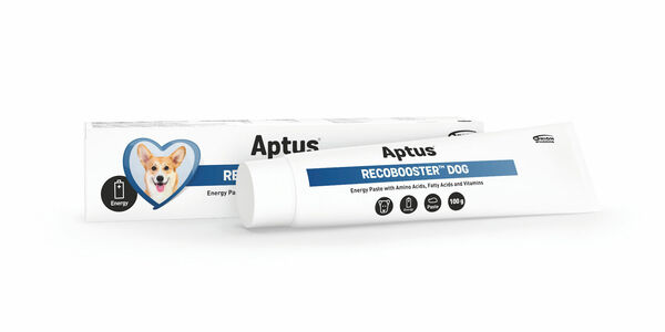 Aptus Recobooster Dog energetická pasta 100 g porovnat ceny