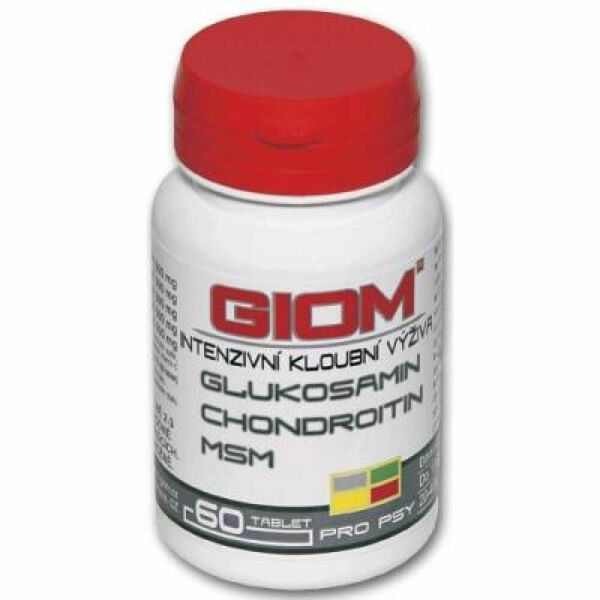 GIOM ERA Chondro L-karnitin Forte  60 tablet porovnat ceny