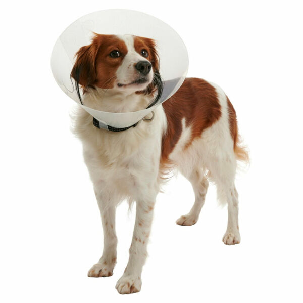BUSTER Clic Collar plastový ochranný límec 1 ks, Velikost: XS porovnat ceny