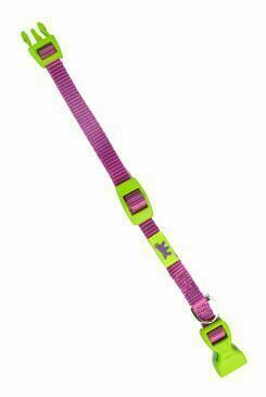 Obojek Nylon Club C 32cmx10mm Světle Fialový Fp 1ks porovnat ceny