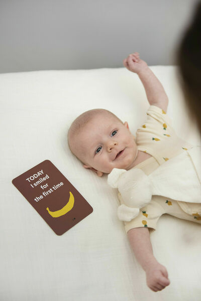 Trixie Milestone cards 12ks porovnat ceny