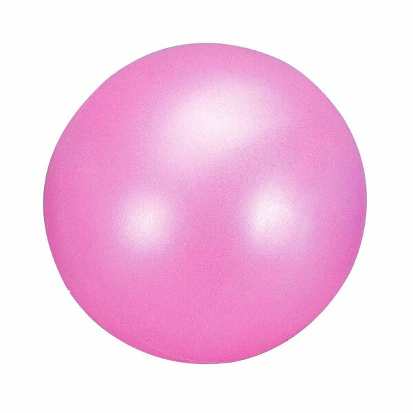 DMA Rehabilitační míč PSB434-A-BL Aerobic 20Pink 1ks porovnat ceny