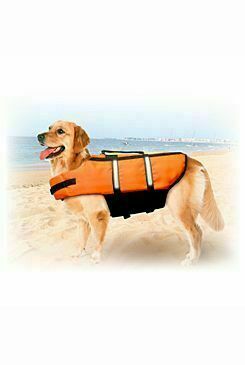 Vesta Plavací Dog M 35cm Oranžová porovnat ceny