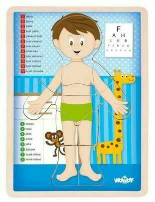 Woody Puzzle "Lidské tělo" Kluk CZ porovnat ceny