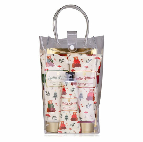 ACCENTRA Hello Winter v dárkové taštičce porovnat ceny