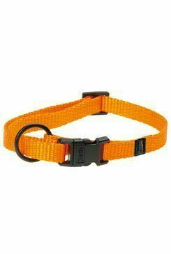 Obojek Nylon Art Sportiv 20-35/10 Orange Kar porovnat ceny
