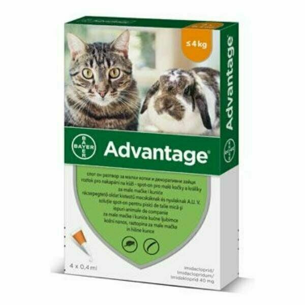 Advantage Malé Kočky 40mg + králíci Spot-on 4 x 0.4 ml porovnat ceny