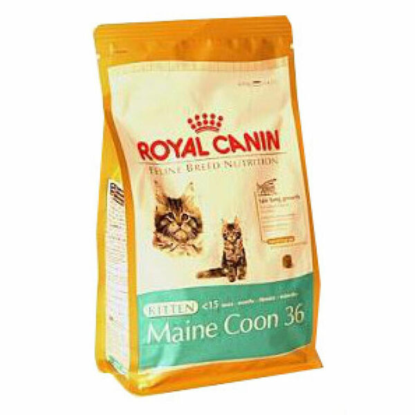 Royal canin Breed  Feline Kitten Maine Coon  400 g porovnat ceny