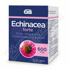 GS Echinacea Forte 600 tbl.70+20 porovnat ceny