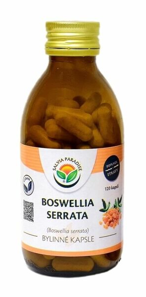 Salvia Paradise Boswellia serrata - kadidlovník kapsle 120ks porovnat ceny