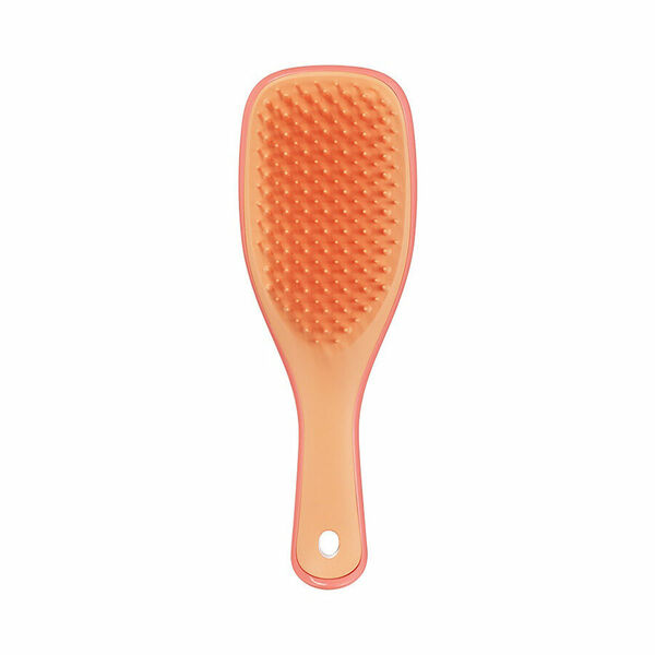 Tangle Teezer The Ultimate Detangler Mini Salmon Pink Apricot porovnat ceny