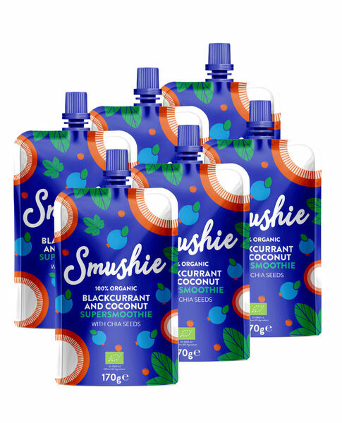 SALVEST Smushie BIO Ovocné smoothie s černým rybízem, kokosovým mlékem a chia semínky 6x170 g porovnat ceny