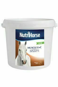 Nutri Horse Muscle E C 2kg New porovnat ceny