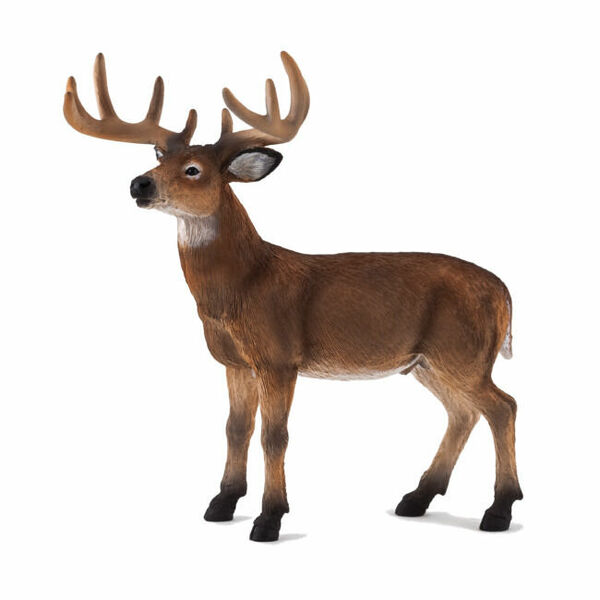 Mojo Animal Planet Jelen běloocasý porovnat ceny