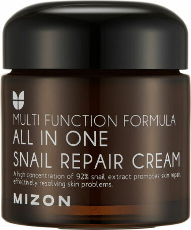 Mizon All In One Snail Repair, Krém na vrásky a problematickou pleť 75ml porovnat ceny