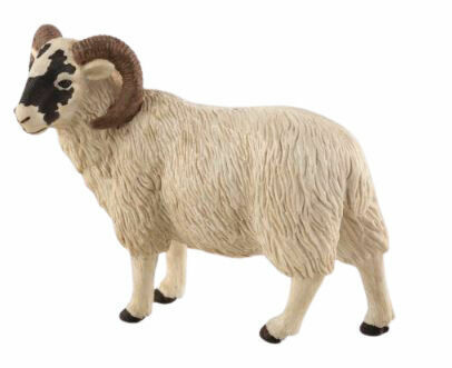 Animal Planet Mojo Beran Hampshire 1 ks porovnat ceny