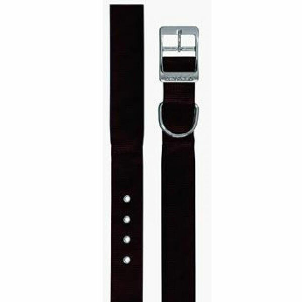 Obojek nylon DAYTONA C 35cmx15mm černý FP 1ks porovnat ceny