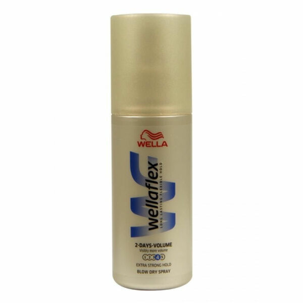 WELLAFLEX Volume 2Days spray 150 ml porovnat ceny