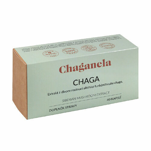 Chaganela Extrakt ze sibiřské čagy 40 kapslí porovnat ceny