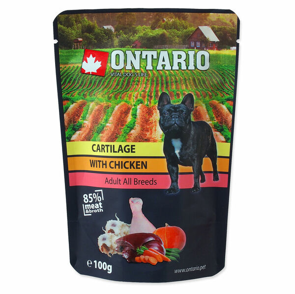 ONTARIO Kapsička chrupavky s kuřecím ve vývaru 100 g porovnat ceny
