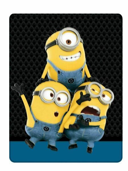 Kaufmann  Dětská oboustranná auto deka Minions 120x150 cm porovnat ceny