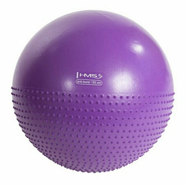 HMS YB03 Masážní gymnastický míč  55 cm fialový porovnat ceny