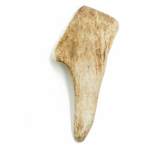 EXPLORER DOG Žvýkací daňčí paroh tvrdý pro psy 1 ks, Velikost: XL porovnat ceny