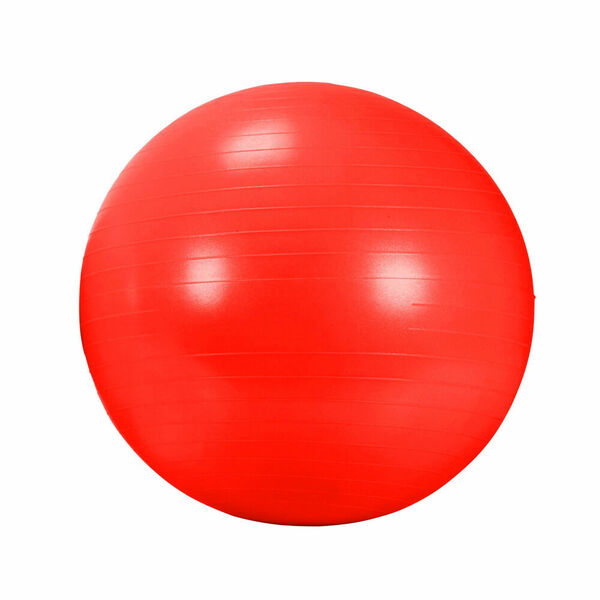 DMA Rehabilitační míč Fitness Red 55 AGB434-55-RD 1ks porovnat ceny