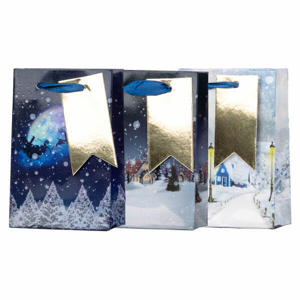 Z-TRADE Taška dárková 100 x 150 mm Zimní krajina mix barevná 1 kus porovnat ceny